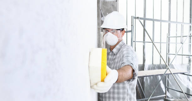 Trusted Roanoke, VA Mold Removal & Remediation Experts